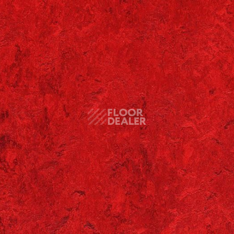 Линолеум Forbo Marmoleum Marbled Authentic 3127 Bleeckerstreet фото 1 | FLOORDEALER